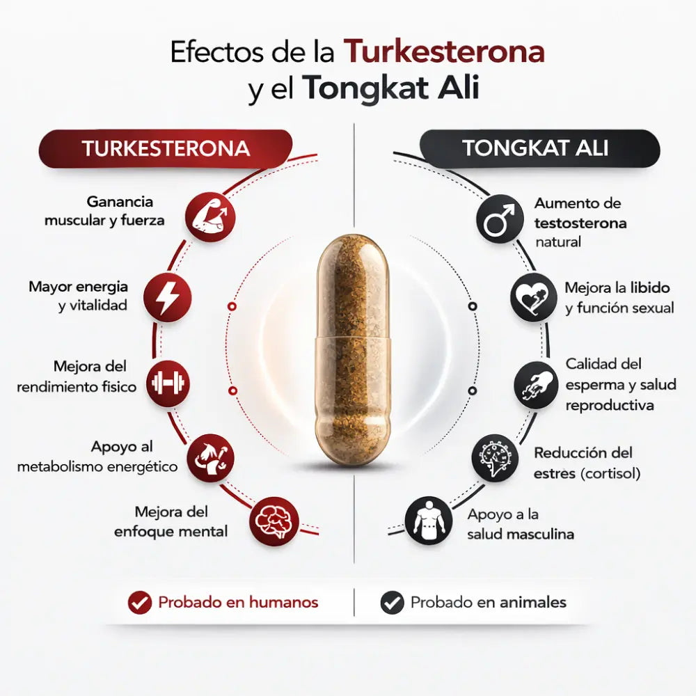 Turkesterone - Fórmula Premium para Resistencia, Fuerza y Vitalidad (120 Cápsulas)